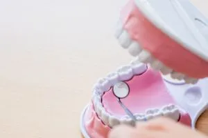 奥歯の役割とは？
